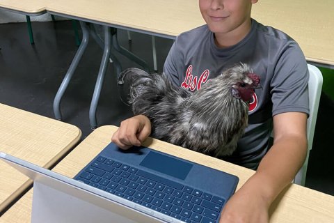 Math is more fun with a chicken on your lap
