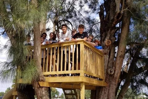 Tree house pictures