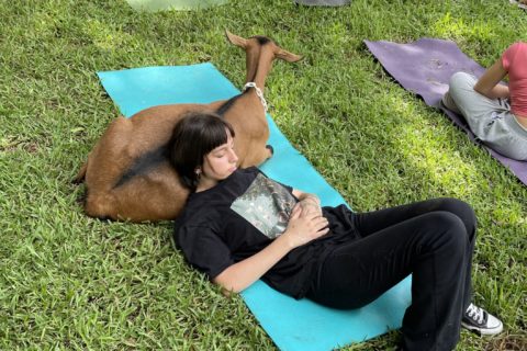 lounging on a goat